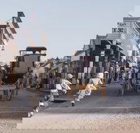 Sovereign Hill General Entry Ticket - New Castle Holiday