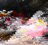 Whitewater Sports rafting on the Yarra river - New Castle Holiday