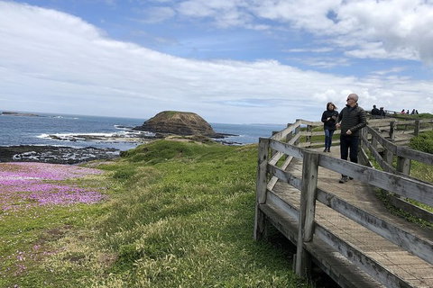 Day Tour Of Phillip Island Nature Parks & Penguins - New Castle Holiday 10