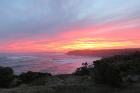 3-Day Small-Group Great Ocean Road And Australian Wildlife Tour From Melbourne - New Castle Holiday 6