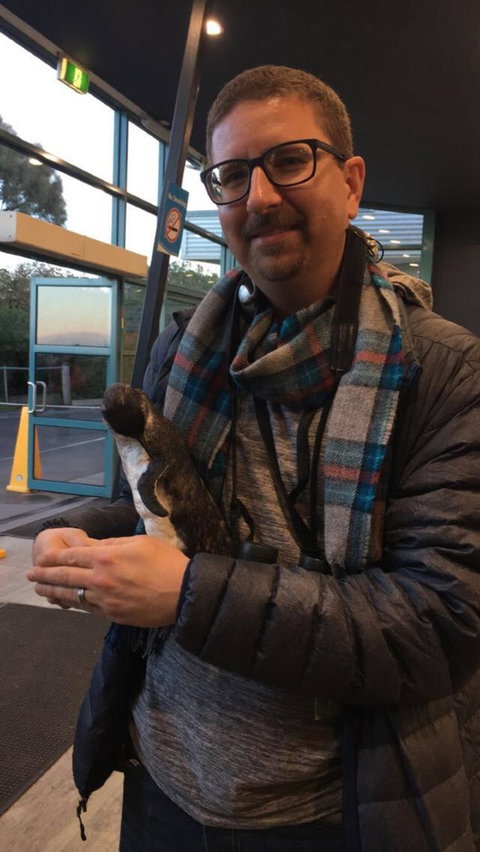 Phillip Island Penguin, Brighton Beach, Moonlit Sanctuary From Melbourne - New Castle Holiday 6