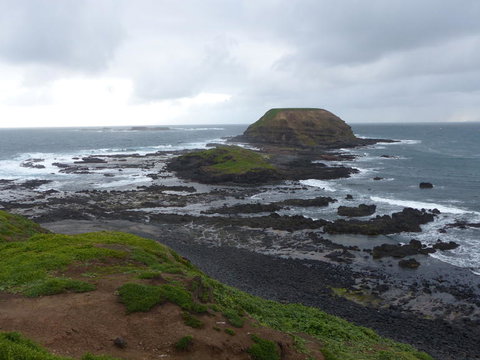 Phillip Island Penguin, Brighton Beach, Moonlit Sanctuary From Melbourne - New Castle Holiday 16