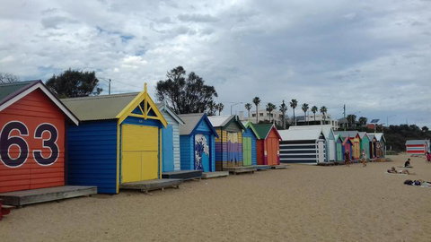 Phillip Island Penguin, Brighton Beach, Moonlit Sanctuary From Melbourne - New Castle Holiday 3