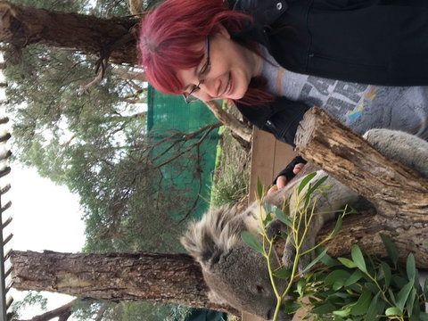 Phillip Island Penguin, Brighton Beach, Moonlit Sanctuary From Melbourne - New Castle Holiday 23