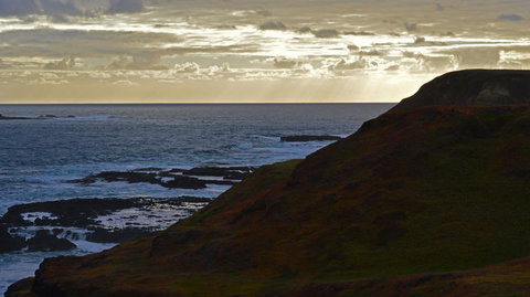 Phillip Island Penguin, Brighton Beach, Moonlit Sanctuary From Melbourne - New Castle Holiday 12