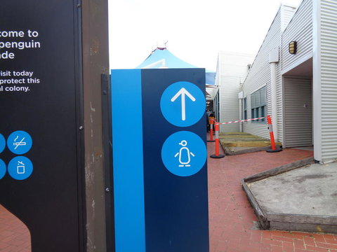 Phillip Island Penguin, Brighton Beach, Moonlit Sanctuary From Melbourne - New Castle Holiday 14