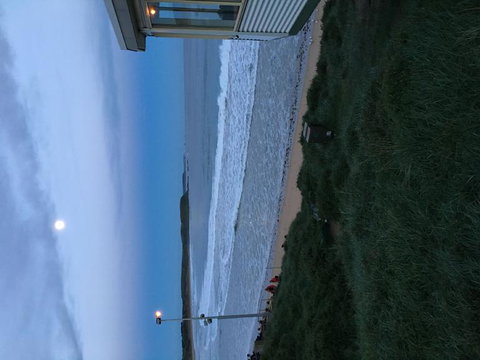 Phillip Island Penguin, Brighton Beach, Moonlit Sanctuary From Melbourne - New Castle Holiday 8