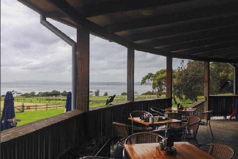 Day Tour Of Phillip Island, The Surrounding Region And Wine Tasting - New Castle Holiday 1
