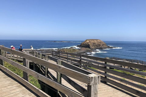 Day Tour Of Phillip Island, The Surrounding Region And Wine Tasting - New Castle Holiday 14