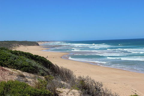 Day Tour Of Phillip Island, The Surrounding Region And Wine Tasting - New Castle Holiday 5
