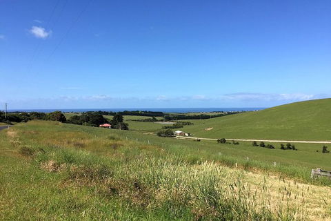 Day Tour Of Phillip Island, The Surrounding Region And Wine Tasting - New Castle Holiday 6