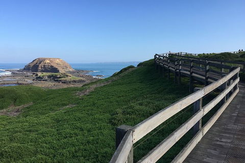 Day Tour Of Phillip Island, The Surrounding Region And Wine Tasting - New Castle Holiday 11