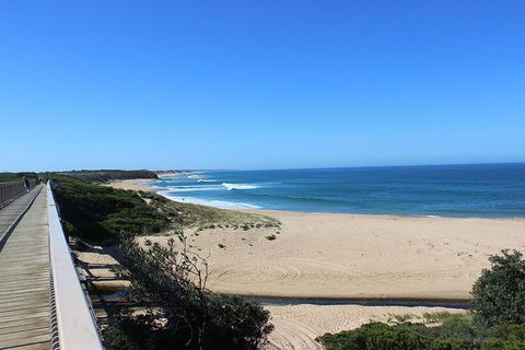 Day Tour Of Phillip Island, The Surrounding Region And Wine Tasting - New Castle Holiday 4