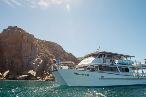 Wilsons Prom Whale Cruise - New Castle Holiday 5
