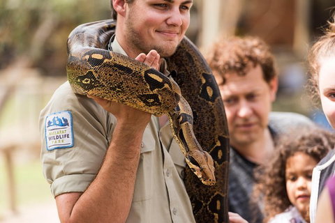 Private Ballarat And Sovereign Hill Tour From Melbourne - New Castle Holiday 7