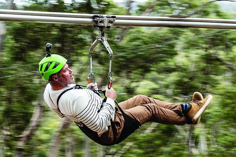 Surf Coast And Livewire Tour - New Castle Holiday 0