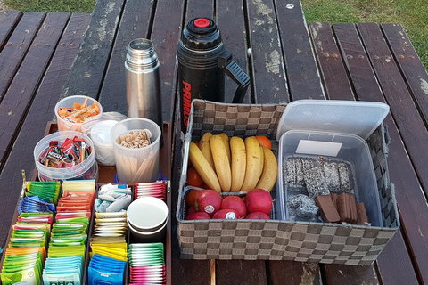 Surf Coast And Livewire Tour - New Castle Holiday 6