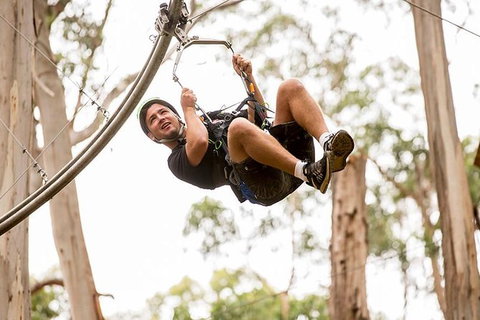 Surf Coast And Livewire Tour - New Castle Holiday 5