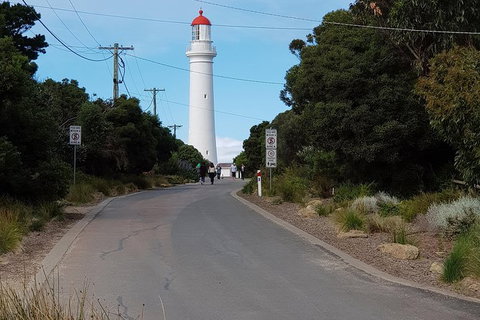 Surf Coast And Livewire Tour - New Castle Holiday 11