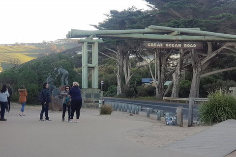 Surf Coast And Livewire Tour - New Castle Holiday 4