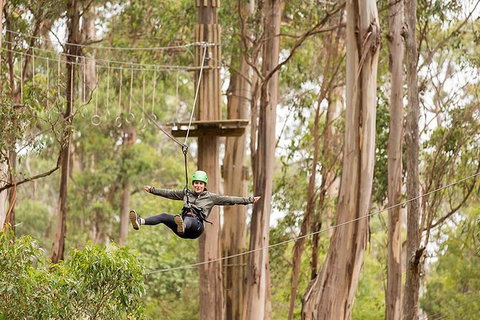 Surf Coast And Livewire Tour - New Castle Holiday 10