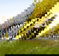 Overnight Daylesford and Macedon Ranges Gourmet Food Trail Tour from Melbourne - New Castle Holiday