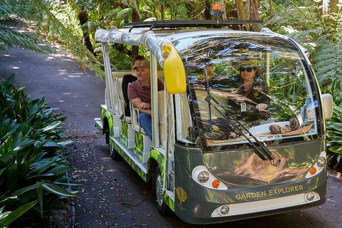 The Explorer - Melbourne Gardens - New Castle Holiday 2