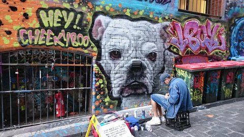 Melbourne Lanes And Arcades Walking Tour - New Castle Holiday 13