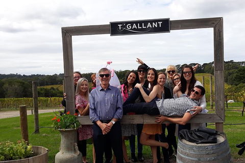 Perfect Day Tours - New Castle Holiday 6