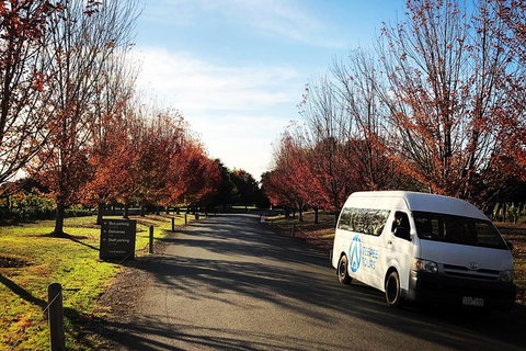Small-Group Guided Yarra Valley Winery Tour With Wine Tasting - New Castle Holiday 13