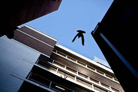 Melbourne Laneway Photo Tours - New Castle Holiday 1