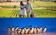 Mornington Peninsula And Phillip Island 'Wineries & Wildlife' Tour - thumb 0