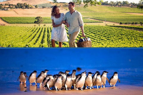 Mornington Peninsula And Phillip Island 'Wineries & Wildlife' Tour - New Castle Holiday 0