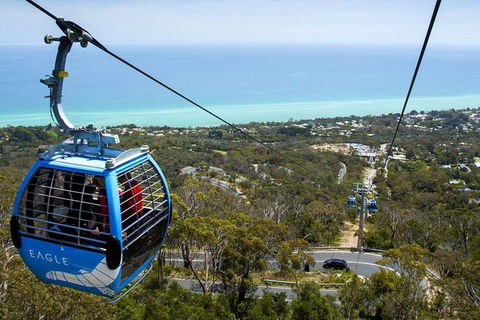 Mornington Peninsula And Phillip Island 'Wineries & Wildlife' Tour - New Castle Holiday 1