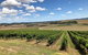 Yarra Valley - Day Tour - thumb 0