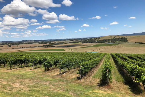 Yarra Valley - Day Tour - New Castle Holiday 0