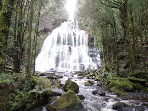 5-Day Best Of Tasmania Tour From Hobart - New Castle Holiday 2