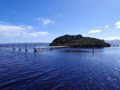 5-Day Best Of Tasmania Tour From Hobart - New Castle Holiday 4