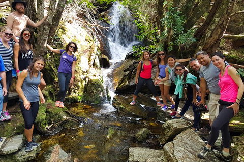 5-Day Best Of Tasmania Tour From Hobart - New Castle Holiday 9