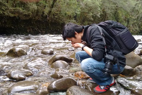 5-Day Best Of Tasmania Tour From Hobart - New Castle Holiday 11