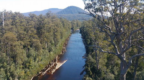 Small-group DayTour From Hobart: Hastings Caves, Huon Valley And Tahune AirWalk - New Castle Holiday 3