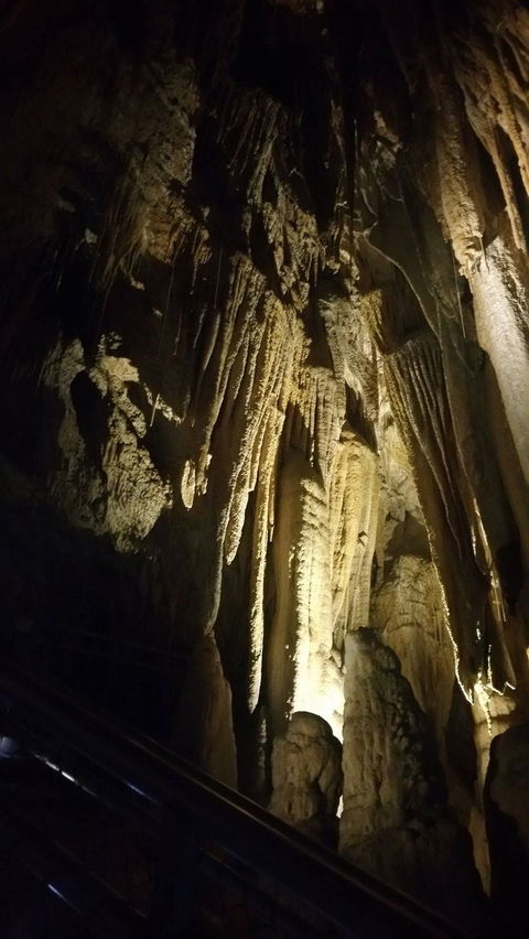 Small-group DayTour From Hobart: Hastings Caves, Huon Valley And Tahune AirWalk - New Castle Holiday 5