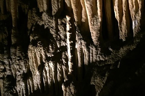 Small-group DayTour From Hobart: Hastings Caves, Huon Valley And Tahune AirWalk - New Castle Holiday 1