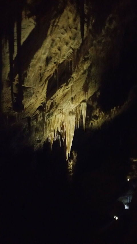 Small-group DayTour From Hobart: Hastings Caves, Huon Valley And Tahune AirWalk - New Castle Holiday 7