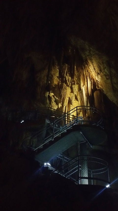 Small-group DayTour From Hobart: Hastings Caves, Huon Valley And Tahune AirWalk - New Castle Holiday 4