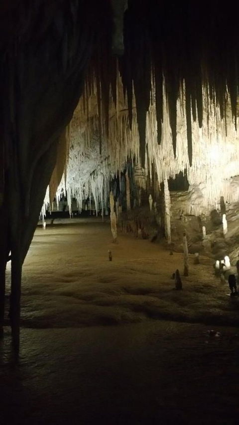 Small-group DayTour From Hobart: Hastings Caves, Huon Valley And Tahune AirWalk - New Castle Holiday 8