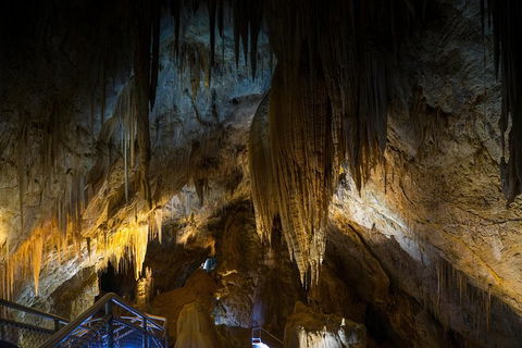 Small-group DayTour From Hobart: Hastings Caves, Huon Valley And Tahune AirWalk - New Castle Holiday 19