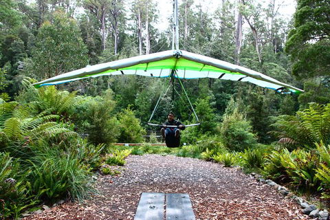 Small-group DayTour From Hobart: Hastings Caves, Huon Valley And Tahune AirWalk - New Castle Holiday 10