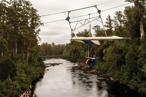 Small-group DayTour From Hobart: Hastings Caves, Huon Valley And Tahune AirWalk - New Castle Holiday 14