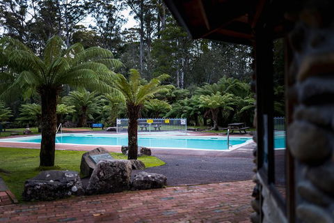 Small-group DayTour From Hobart: Hastings Caves, Huon Valley And Tahune AirWalk - New Castle Holiday 12